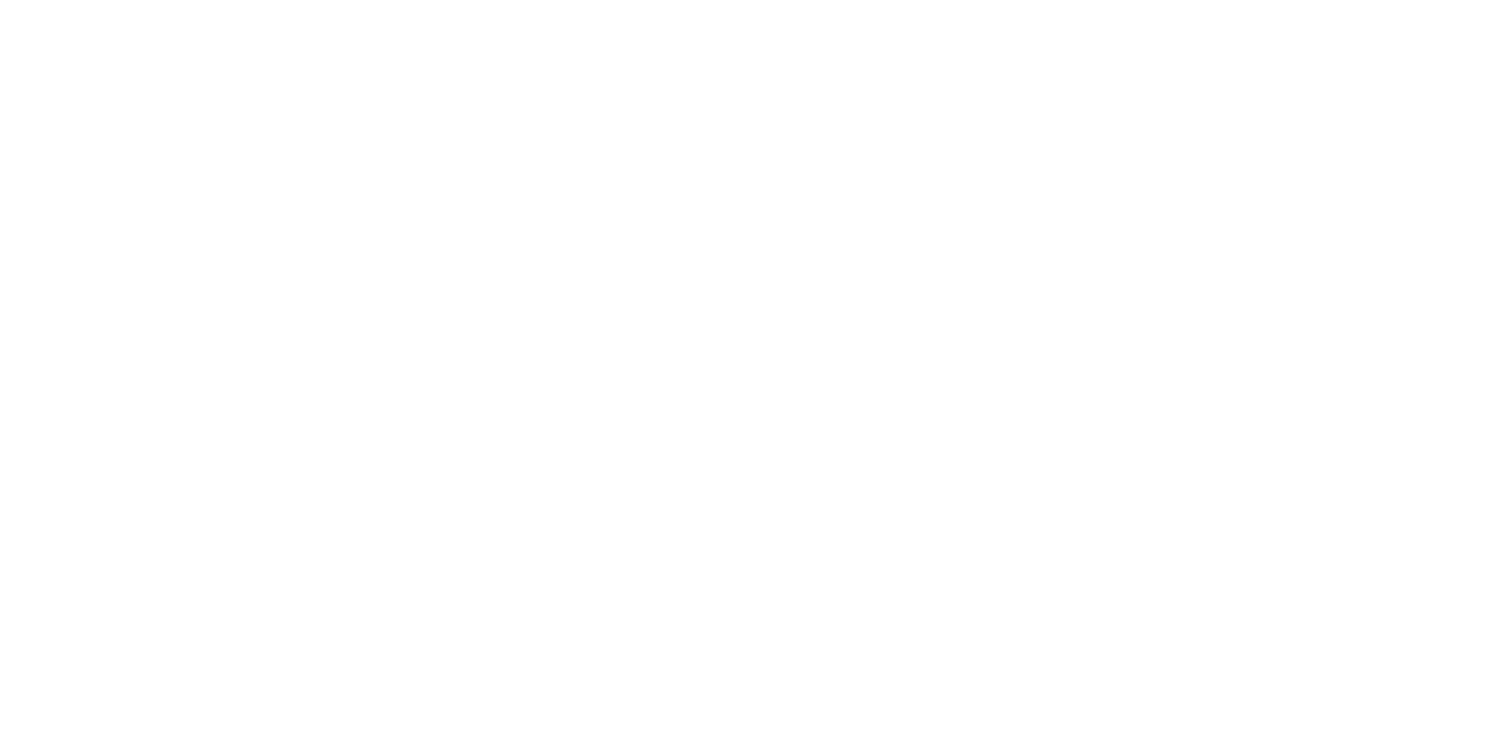 Olivier GIRAUDO Consulting